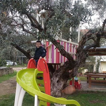 ενοικιαζόμενα αλεξίου