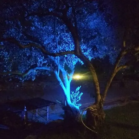 Апартаменты Rent Alexiou *