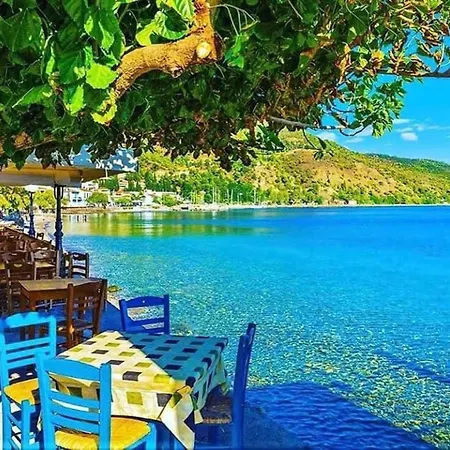 ενοικιαζόμενα αλεξίου *