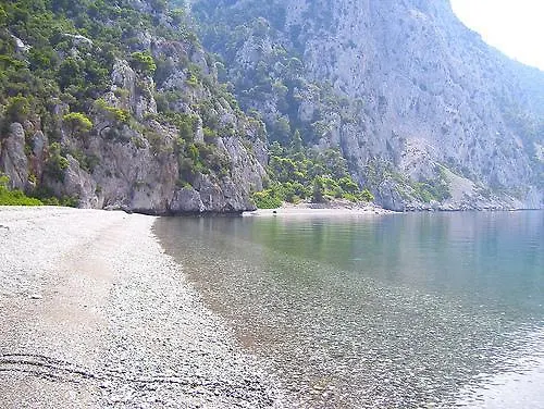 Διαμέρισμα ενοικιαζόμενα αλεξίου