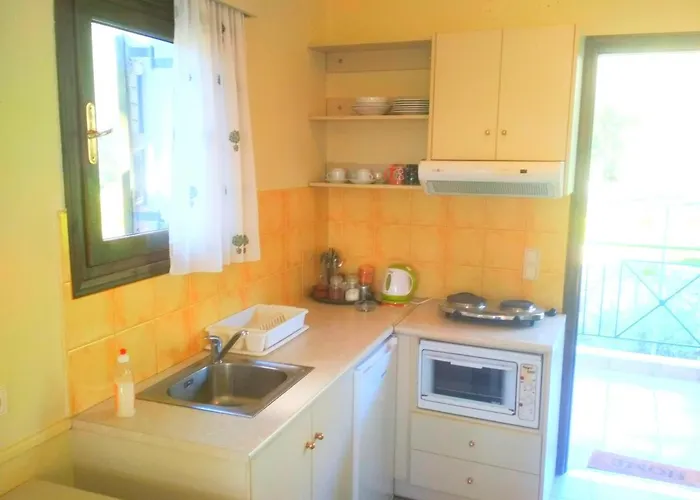 ενοικιαζόμενα αλεξίου *